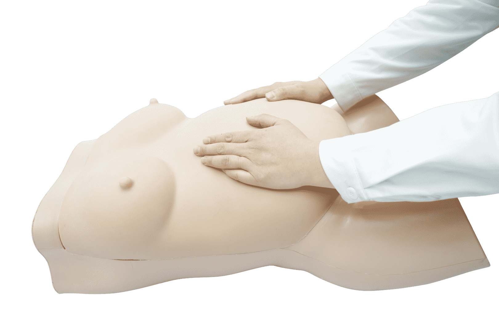 Obstetric Examination Trainer Torso