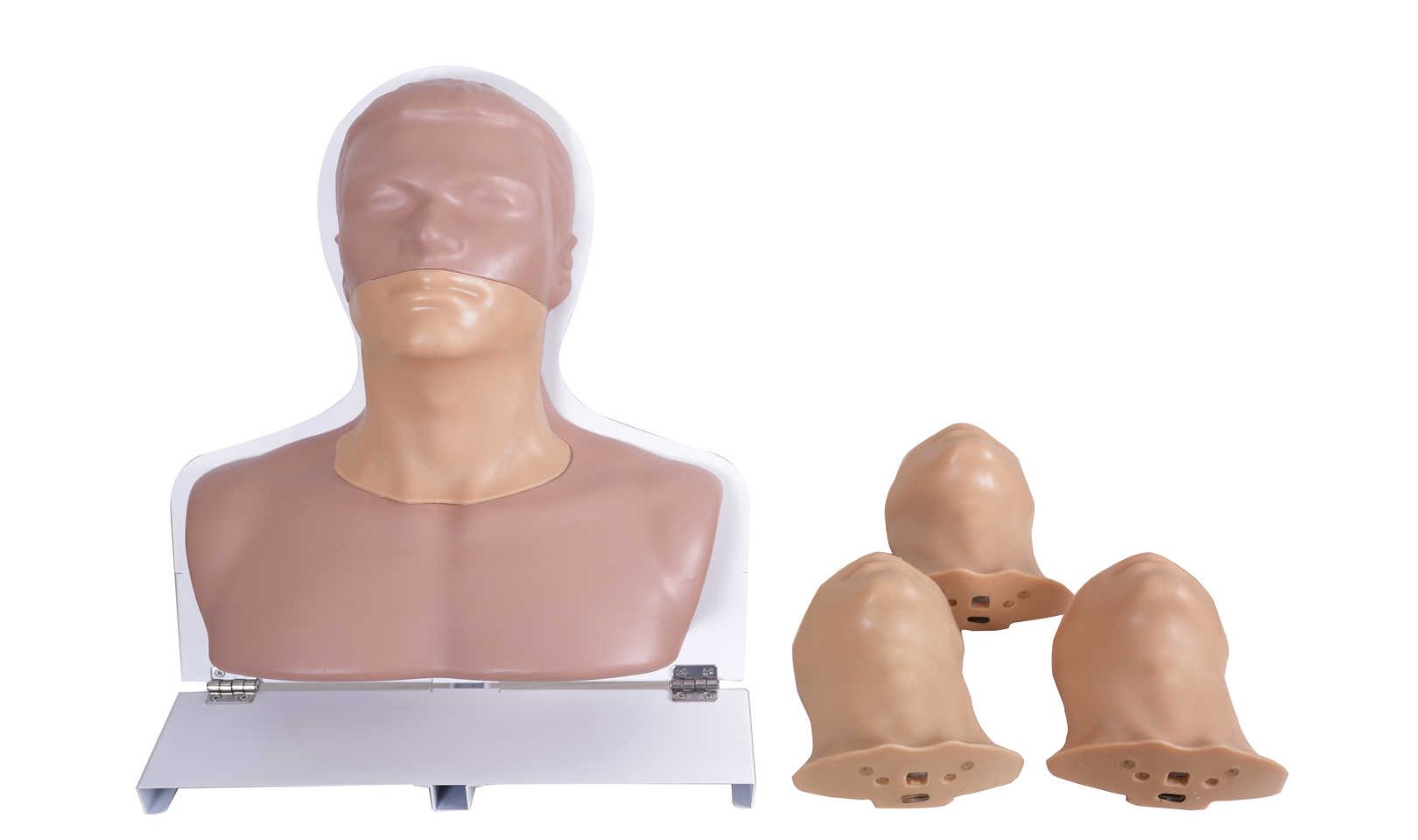 Thyroid Ultrasound Training Model